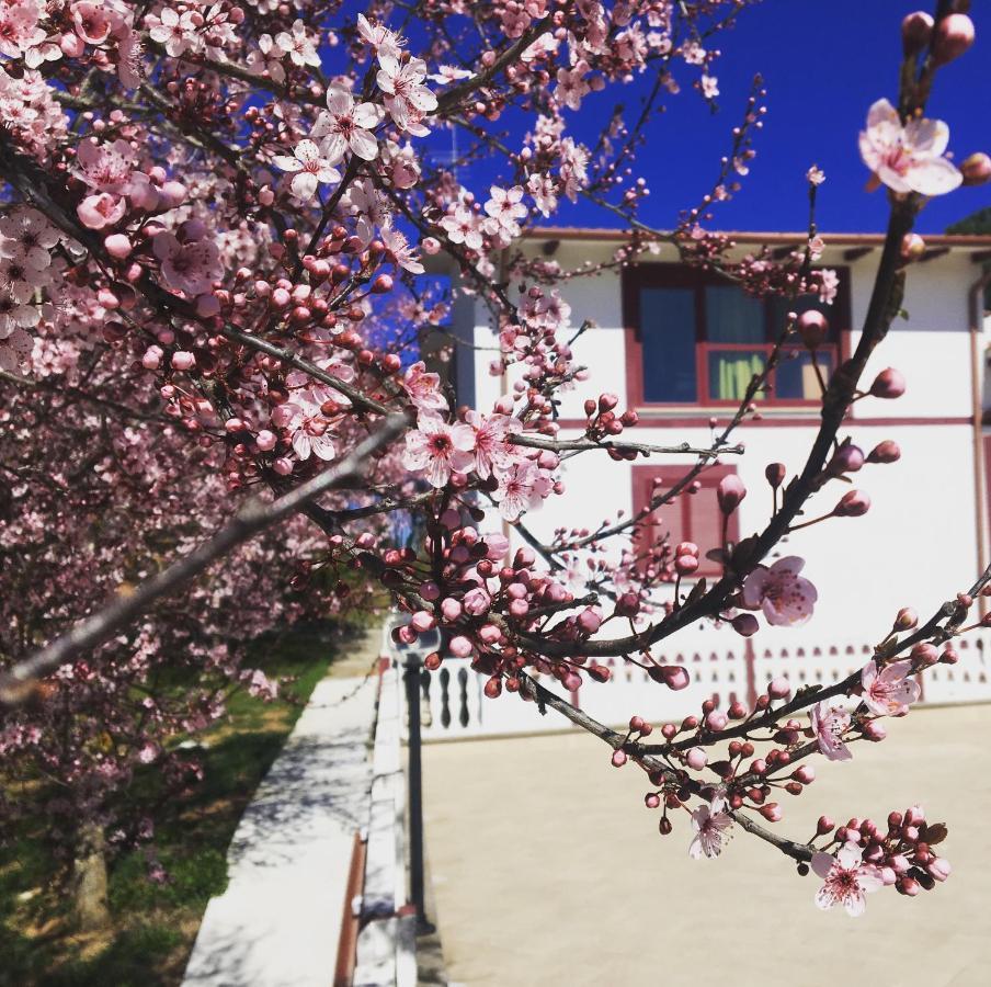 Il Profumo Della Natura B&B Oriolo Romano Exterior foto